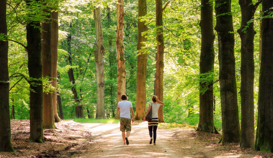 Meer natuur, meer gezondheid